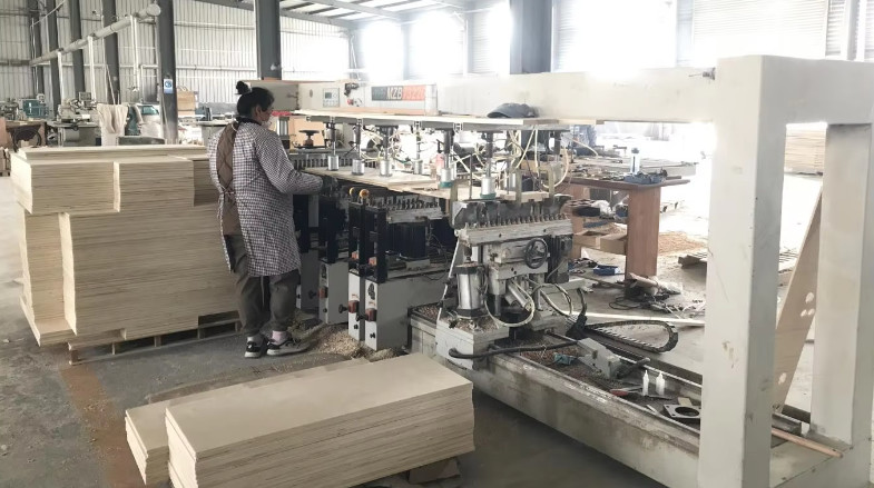 Qingdao Vitalucks Trade Co., Ltd. linha de produção da fábrica