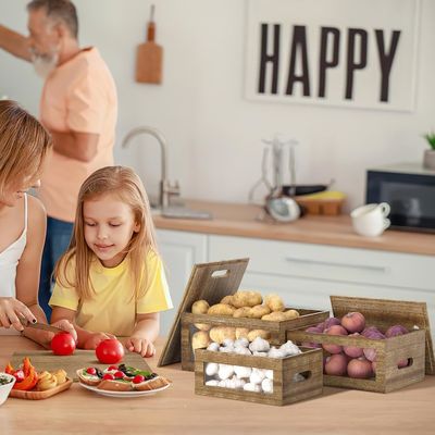 Mantenha sua cozinha arrumada com este recipiente de alho acrílico transparente para janela