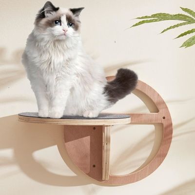 Caixas de embalagem de vinhos elegantes Pisos de madeira para gatos Escalões de escalada para emoção