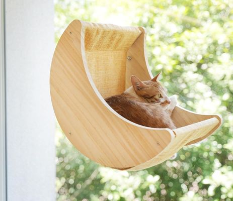 ISO9001 2008 Certificado FSCI BSCI Cat Hammock Prateleiras de cama montadas com cápsulas de sucção fortes