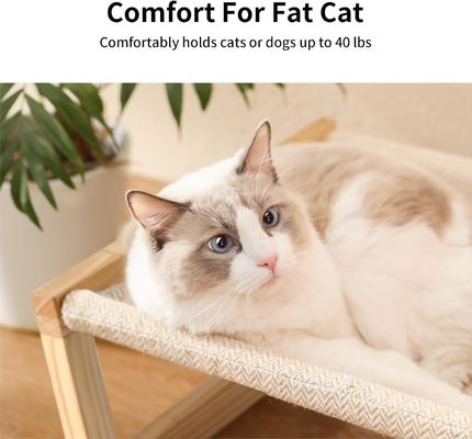 Embalagem de correio Y Maca de gato de madeira 21 x 16,5 polegadas Móveis elevados para animais de estimação Cor de madeira