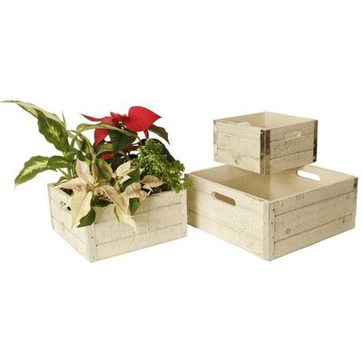 Caixas de maçã de madeira para artesanato em bruto Conjunto de 3 caixas de impressão personalizadas