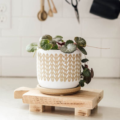 Material de óleo vegetal Pedestal de madeira e bandeja de exibição