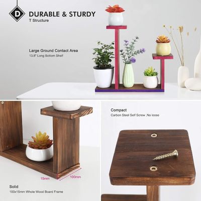 Salão de exposições Rack para ervas suculentas Quadrado Environmental flor de prateleira portador