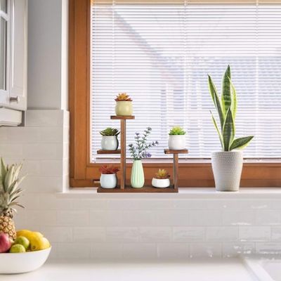 Salão de exposições Rack para ervas suculentas Quadrado Environmental flor de prateleira portador