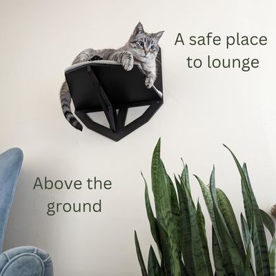 Função poupar espaço parede montada prateleira de gato com prateleiras perchas e cama pendurada