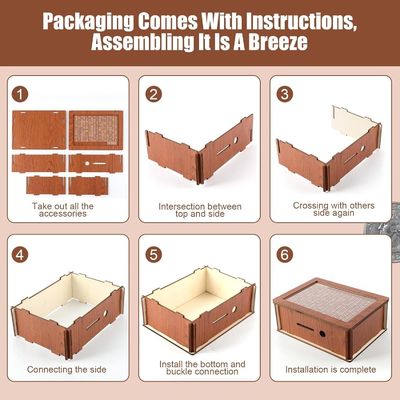 OEM/ODM aceitável madeira poupança de dinheiro poupador de dinheiro com cor natural e padrões