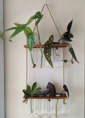 202407 Estação de propagação de plantas para plantas de cultivo de vasos hidropónicos OEM