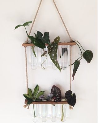 202407 Estação de propagação de plantas para plantas de cultivo de vasos hidropónicos OEM