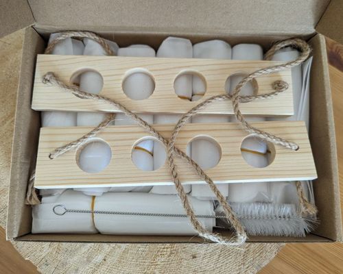 202407 Estação de propagação de plantas para plantas de cultivo de vasos hidropónicos OEM