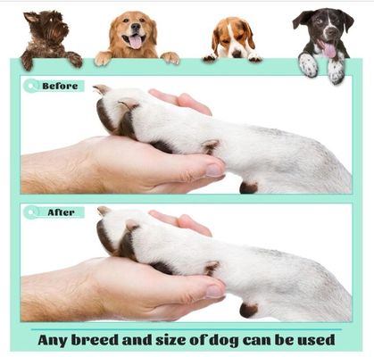 Economize tempo e espaço 202407 Cadastro de raspadinhas para cães para unhas