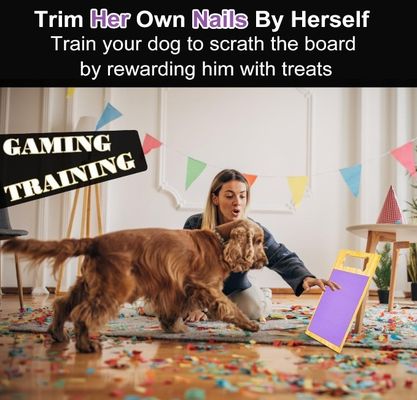 Ficheiro de unhas de cão Pad de arranhão de alta quantidade Vantagem para as unhas de esmagamento de unhas de cães