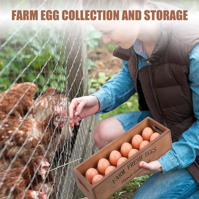 Caixa de ovos de madeira rústica para 12 ovos frescos empilhável
