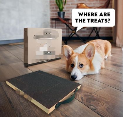 OEM Cadastro de raspagem para cães com caixa de guloseimas Cadastro de raspagem de unhas para cães com alça Cadastro de raspagem de gatos