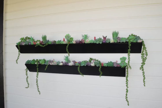 Plantação de parede de madeira quadrada longa para exibição de suculentas modernas no jardim exterior interno