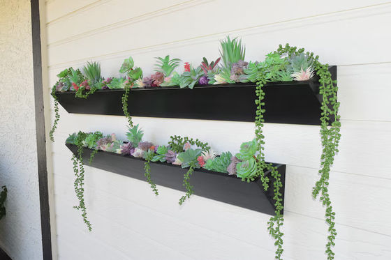 Plantação de parede de madeira quadrada longa para exibição de suculentas modernas no jardim exterior interno