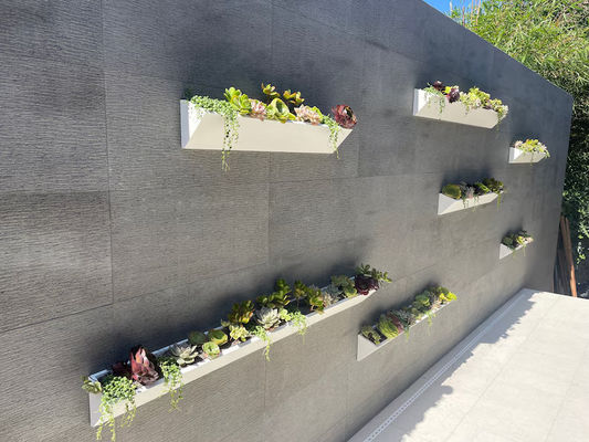 Plantação de parede de madeira quadrada longa para exibição de suculentas modernas no jardim exterior interno