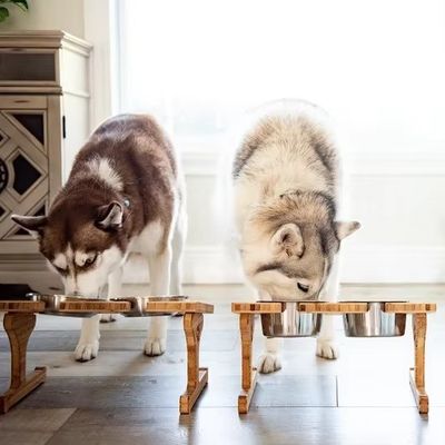15 graus inclinação Pet Bowl Stand Impressão em madeira personalizada com laser Gravar duas tigelas removíveis