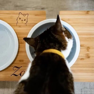 15 graus inclinação Pet Bowl Stand Impressão em madeira personalizada com laser Gravar duas tigelas removíveis