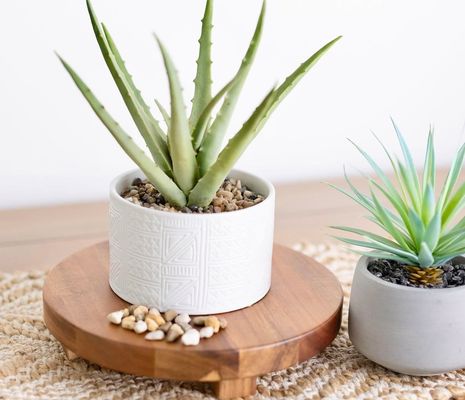 Acacia Wood Riser Round Pedestal Riser Board Pedestal de madeira para exposição de cozinha