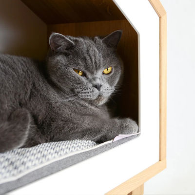 Casa de gato interior árvore de carvalho de madeira Casa de gato em cor de madeira natural com recipientes de armazenamento