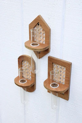 Plantação de parede Boho Hydro Plantação de parede com serigrafia/queimada