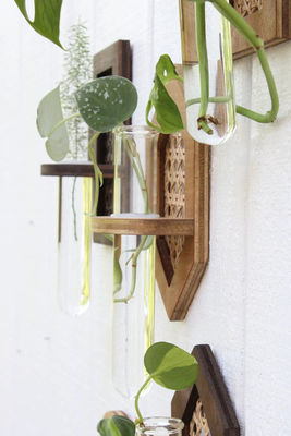 Plantação de parede Boho Hydro Plantação de parede com serigrafia/queimada