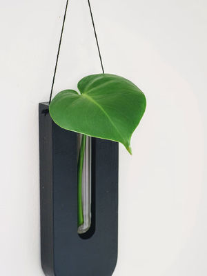 Estação de propagação Moderno Mini caixa de madeira plantação de parede para varanda e parede decoração vasos