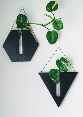 Estação de propagação Moderno Mini caixa de madeira plantação de parede para varanda e parede decoração vasos