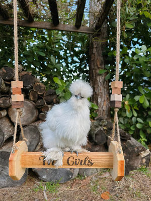 Brinquedos de frango Percha de gato montada na parede Adequada para gatos e animais