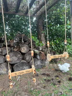 Brinquedos de frango Percha de gato montada na parede Adequada para gatos e animais