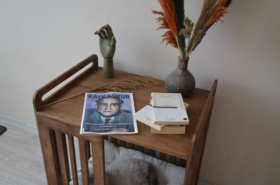 Cabine interior deve-ter poupar espaço com luxo demolição madeira mobília caixa de cão