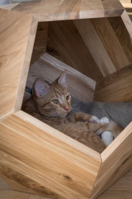 Container de armazenamento doméstico Cova de cama de gato em design moderno com madeira maciça e mesa lateral