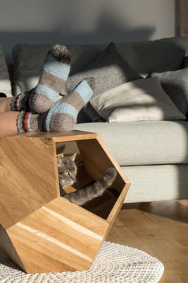 Container de armazenamento doméstico Cova de cama de gato em design moderno com madeira maciça e mesa lateral