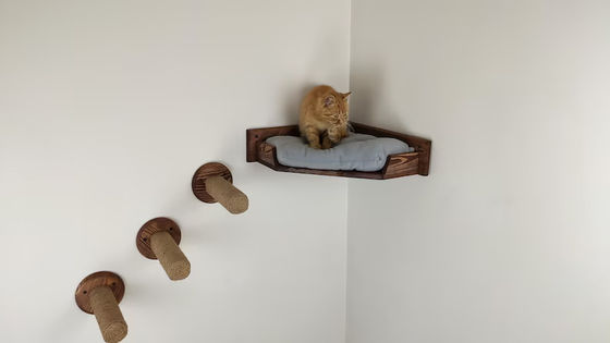 Casa de jogos de gatos montada na parede com cama de gatos em madeira natural