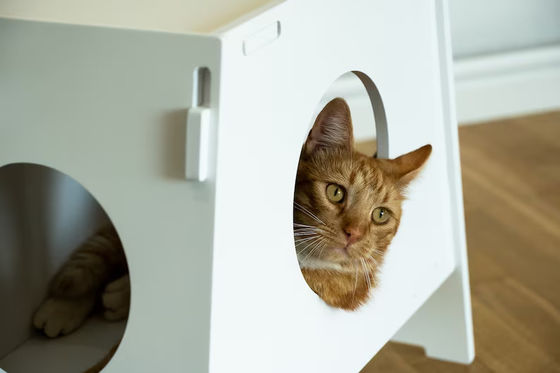 Eletrodoméstico de estofado de madeira Cage de animais de estimação de interior moderno Casa para cães e gatos Sala de estar