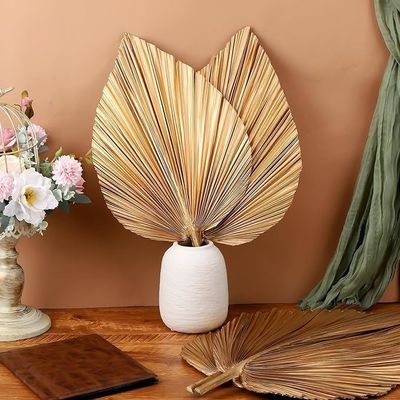 Logotipo Vitalucks Eco-Friendly Compostable Hand 4 Pcs Large Natural Gold Folhas de Palmeira Secas