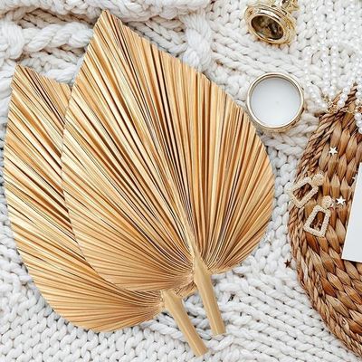 Logotipo Vitalucks Eco-Friendly Compostable Hand 4 Pcs Large Natural Gold Folhas de Palmeira Secas