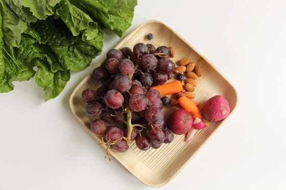 Set de 10 peças de pratos de folhas de palma para jantar de casamento pratos descartáveis redondos e quadrados