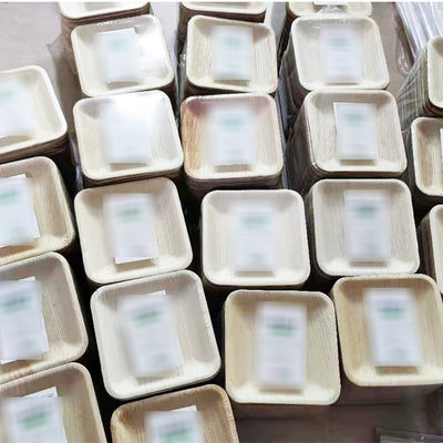 Set de 10 peças de pratos de folhas de palma para jantar de casamento pratos descartáveis redondos e quadrados