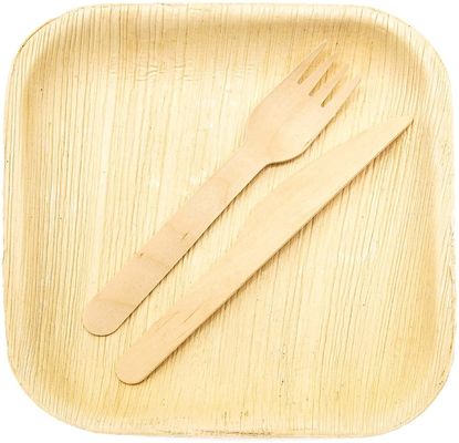 Eco-friendly 20 Pack Biodegradable Palm Leaf Plates 10 Inches Quadrado Robusto Como Bambú Desutilizável Elegante