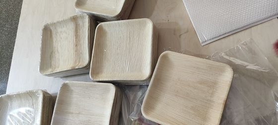 Eco-friendly 20 Pack Biodegradable Palm Leaf Plates 10 Inches Quadrado Robusto Como Bambú Desutilizável Elegante