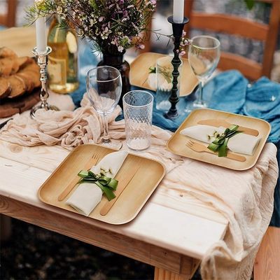 Fabricação de alimentos e bebidas Placas de folhas de palma naturais descartáveis de 6' 8&quot; 10&quot; quadrados