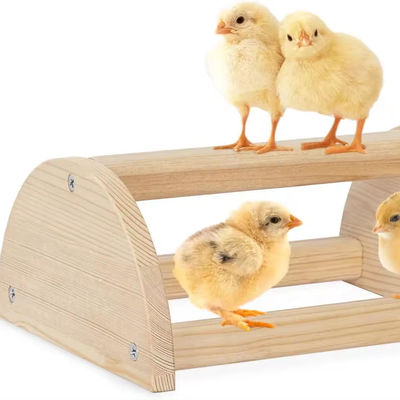 202405 Perca de pássaro Barras de madeira grossas e resistentes