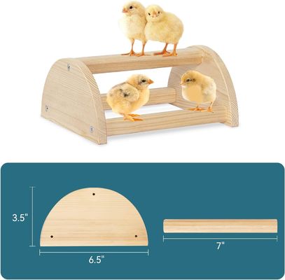 202405 Perca de pássaro Barras de madeira grossas e resistentes