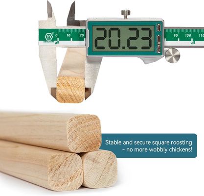 202405 Perca de pássaro Barras de madeira grossas e resistentes