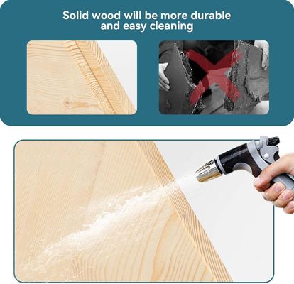 202405 Perca de pássaro Barras de madeira grossas e resistentes