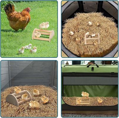 202405 Perca de pássaro Barras de madeira grossas e resistentes