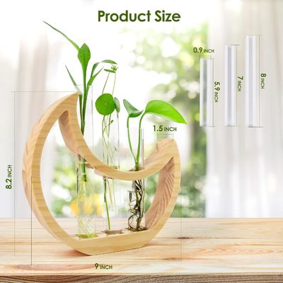 Anniversary Crescent Moon Table Stand para plantas de interior e decoração de escritório