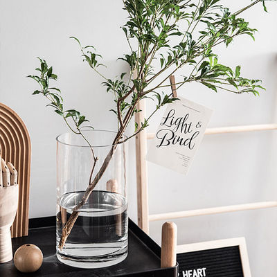 Minimalista 60cm alto vasos de vidro A combinação perfeita de estilo e função